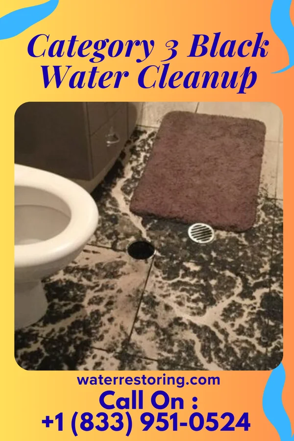 Category 3 Black Water Cleanup in Dumont, NJ