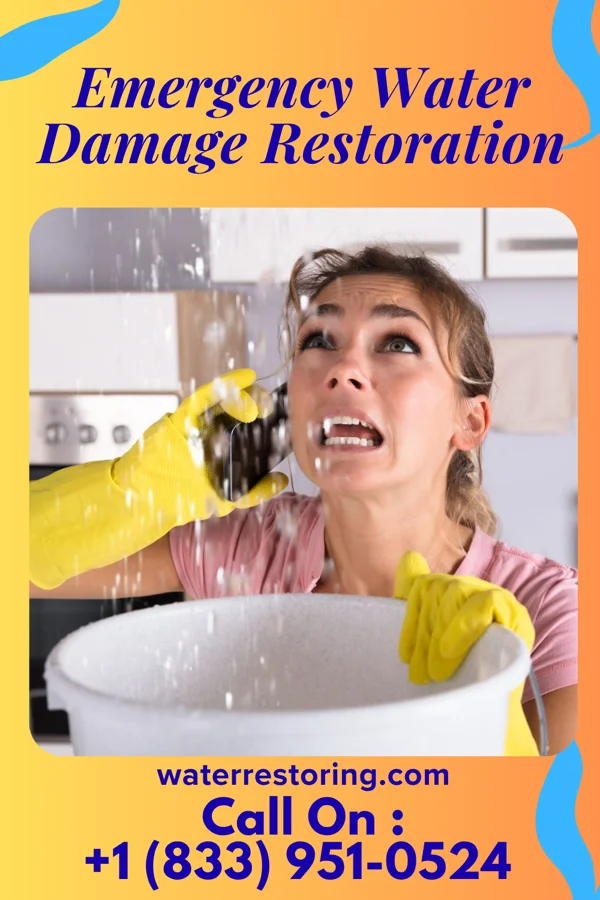 Emergency Water Damage Restoration in Dumont, NJ