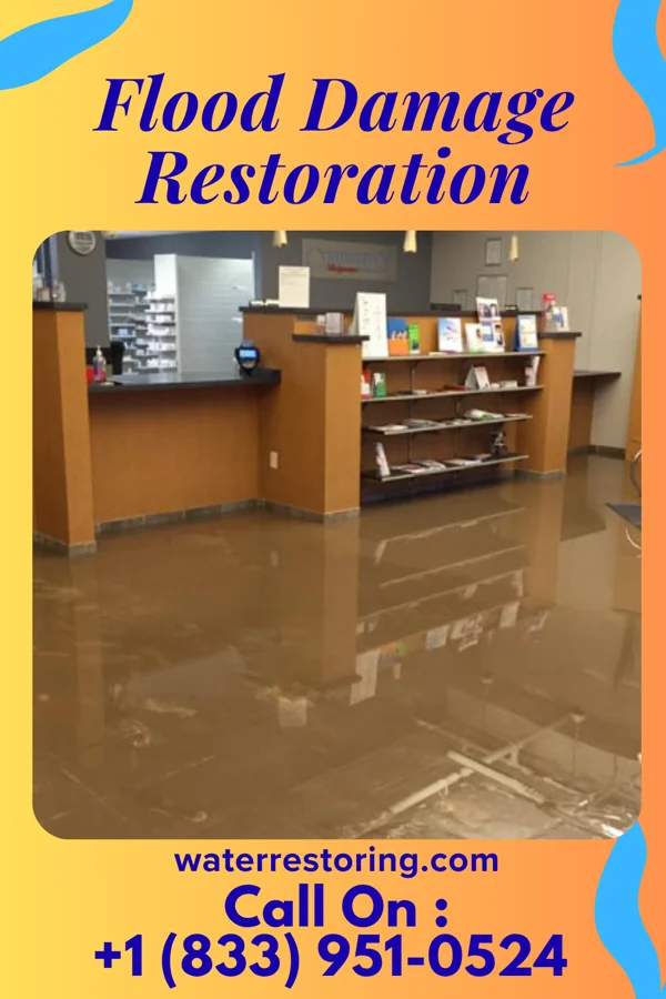 Flood Damage Restoration in Dumont, NJ
