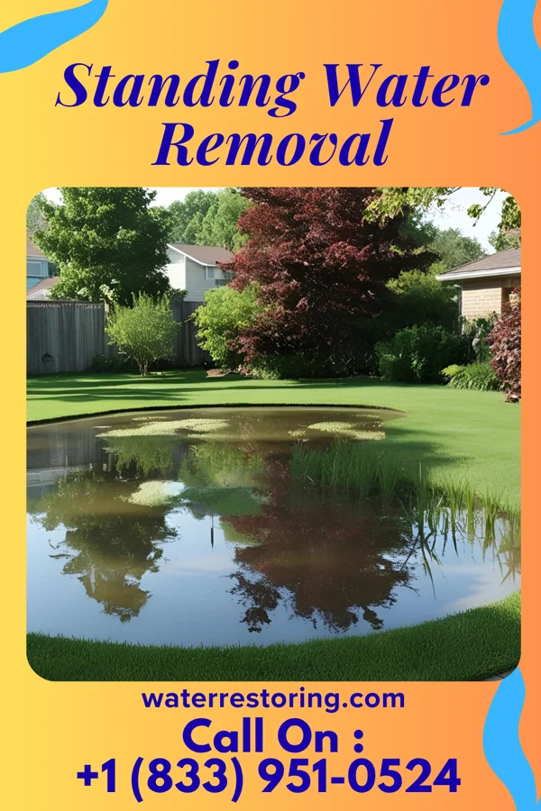 Standing Water Removal in Dumont, NJ